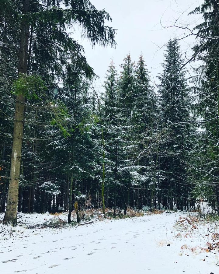 Beskid Wood Houses Jasnowice ภายนอก รูปภาพ